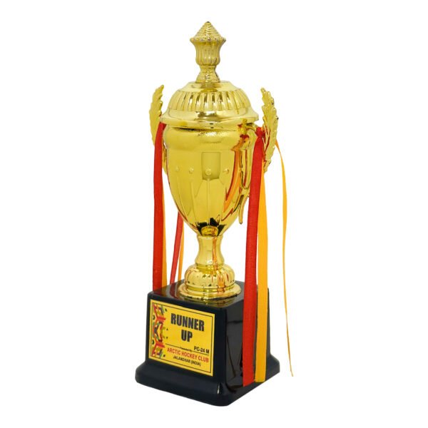 award arts plastic cups pc-24 plastic trophy
