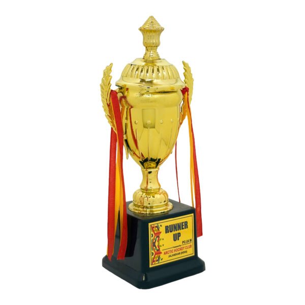 award arts plastic cups pc-24 plastic trophy