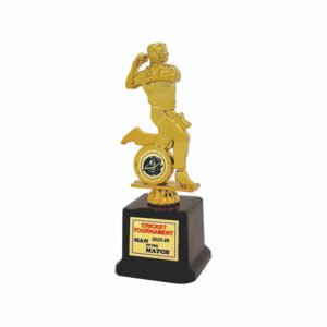 award arts plastic fitted pf-132 plastic award