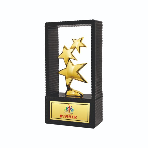 award arts plastic fitted pf-146 plastic award