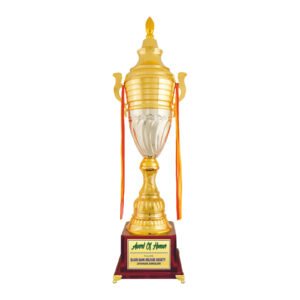 award arts metal cups mc-115 metal trophy