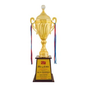 award arts metal cups mc-125 metal trophy