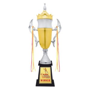 award arts metal cups mc-137 metal trophy