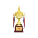 award arts metal cups mc-139 metal trophy