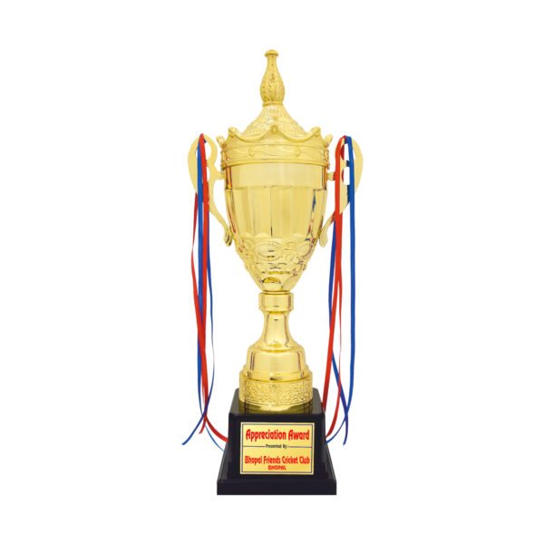 award arts metal cups mc-140 metal trophy