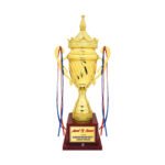 award arts metal cups mc-142 metal trophy