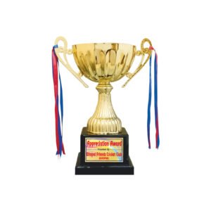 award arts metal cups mc-56 metal trophy