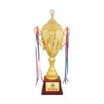 award arts metal cups mc-57 metal trophy