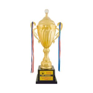 award arts metal cups mc-65 metal trophy