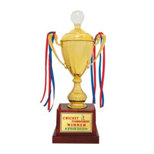 award arts plastic cups pc-216 plastic trophy