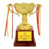 award arts plastic cups pc-219 plastic trophy