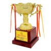 award arts plastic cups pc-219 plastic trophy
