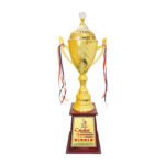 award arts plastic cups pc-249 plastic trophy