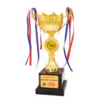 award arts plastic cups pc-312 plastic trophy