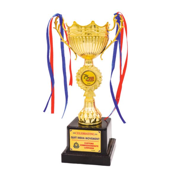 award arts plastic cups pc-312 plastic trophy