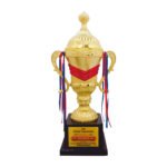 award arts plastic cups pc-313 plastic trophy