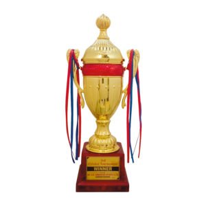 award arts plastic cups pc-314 plastic trophy