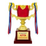 award arts plastic cups pc-331 plastic trophy