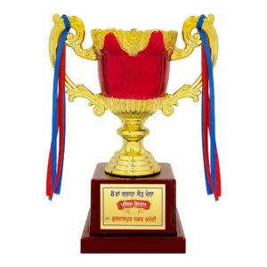award arts plastic cups pc-331 plastic trophy