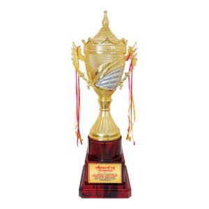 award arts plastic cups pc-336 plastic trophy